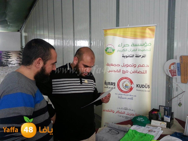 7era2 kotrye (19).JPG